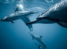 别急着搜爱游戏，先做这一步验证：看下载来源