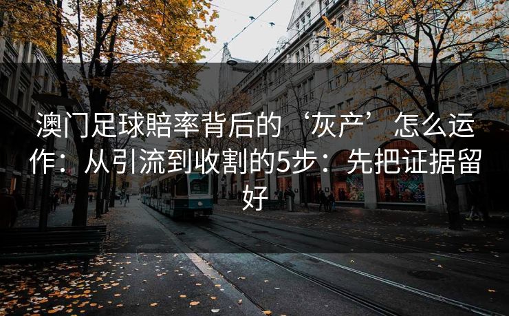 澳门足球賠率背后的‘灰产’怎么运作：从引流到收割的5步：先把证据留好
